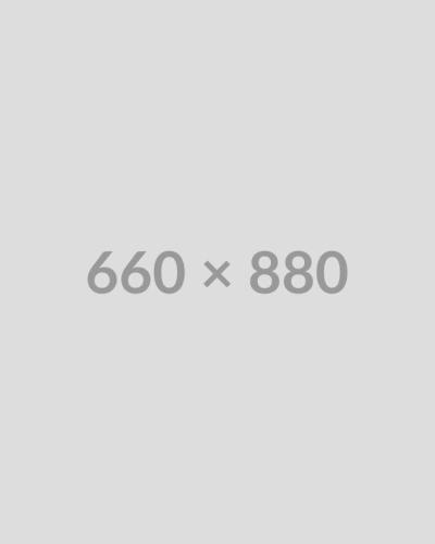 Oval shoulder bag